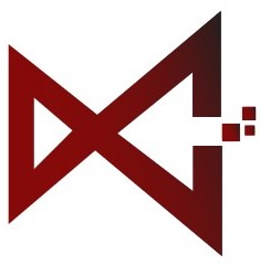 Bizup Consulting career